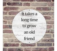 lutieger It Takes A Long Time to Grow an Old Friend, decorazione rustica da parete in metallo per giardino, terrazza, portico, 30,5 x 30,5 cm, regalo di compleanno o laurea, cartello decorativo in
