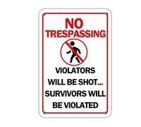 lutieger Targa decorativa in metallo con scritta "No Trespassing", poster da parete in latta per proprietà privata, videosorveglianza, garage, terrazza, cabina, decorazione per la casa, affari