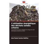L'utilisation énergétique des déchets solides urbains: Les causes de la sous-utilisation du biogaz issu des décharges sanitaires au Brésil