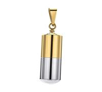Luwecf Collana con Ciondolo Ricordo per Ceneri, Composta da Due Pezzi in Acciaio E Tubo di Vetro, d'oro