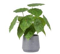 LUWENER Pianta verde artificiale in vaso grigio, 32 cm, grande pianta verde finta con foglie verdi per interni, soggiorno, ufficio, bagno, decorazione per la casa (concubina imperiale)
