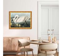 LuxHomeDecor John James Audubon - Cigno trombettiere II - Quadro stampa su tela effetto dipinto con cornice in legno oro classico - 50x40 cm