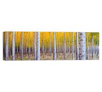 LuxHomeDecor Quadro Bosco BETULLE 100x30 cm Stampa su Tela con Telaio in Legno Arredamento Arte Arredo Moderno