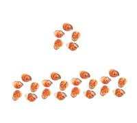 Luxshiny 5 Set Gusci Naturali per Cucina Gusci per Escargot Edibili E Sicuri per Ristoranti E Uso per Preparazioni Gourmet 5 Pezzi*5