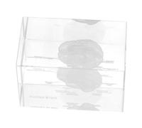 Luxshiny Anatomico in Cristallo Trasparente del Cervello Umano Fermacarte Scientifico Decorativo per Studenti di Medicina Insegnamento e Ufficio Dettagli Realistici e Lavorazione di Alta Pr