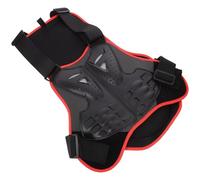 Luxshiny Gilet Protettivo per Protezione della Schiena e Spina, Materiale PE+Eva, Fasce Elastiche Regolabili e Imbottitura Confortevole per Sport All'aperto Colore Casuale