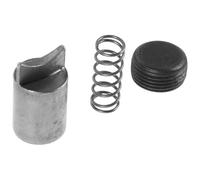 Luxshiny Kit Riparazione Spruzzatore Elettrico Perno, Molla e Vite | Ferro Argento, Installazione Facile e Bloccaggio Sicuro, per Irroratore da Giardino e Uso Agricolo