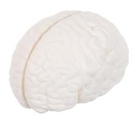 Luxshiny Modello Anatomico del Cervello Umano Emisfero e Tronco Encefalico Smontabili, Materiale Robusto per Lezioni di Anatomia e Psicologia