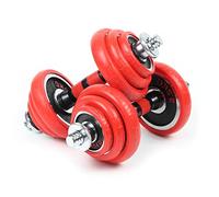 LUXTRI Set manubri da 20 kg Manubri corti e lunghi 2in1, 12 dischi ed estensione per manubrio lungo