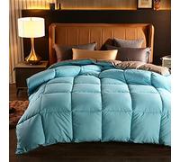 Luxury Hotel Quality King Size Duvet, Tutte Le Stagioni 15 Tog Doppia, Primavera/Autunno/Inverno Singola Doppia Calda Leggera Giù Comodino, 180X220Cm (3Kg), JYLSSKUK, n di, 200 * 230 cm (2.5 kg)