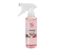 LA BELLE VIE Profumatore Spray Auto Ambienti Luxury Professional Profumo superconcentrato 300 ml