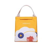 LUYSGBXR 2 pezzi Borsa Termica Lunch Box Isolata Grande Capacità Sacchetto Portavivande con Cerniera Contenitore for Donne Frigo da Viaggio Picnic(Color-3)