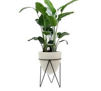 lvifloae Smart Indoor Plant Pot with Solid Wood Base Nordic-Style Plant Pot Automatic Low Water Alert Dual Ventilation and Handle Hole Design Solid Wood Base with Battery Power Supply (Hexagonal)