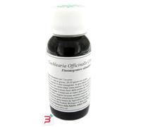 LVS 11N COCHLEARIA OFFICINALIS COMPOSITUM 60 ML