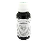 LVS 12N ALLIUM URSINUM COMPOSITUM