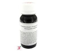 LVS 16S CINNAMOMUM AROMATICUM COMPOSITUM 60 ML