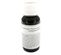 LVS 17S Crataegus Oxyaca Comp.