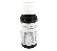 Lvs 17s Crataegus Oxyaca Comp