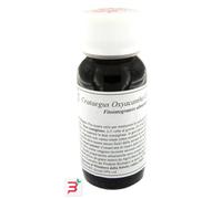 LVS 17S CRATAEGUS OXYACANTHA COMPOSITUM 60 ML