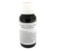 29S COFFEA VULGARIS VIRID COMP