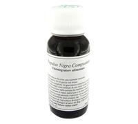 LVS 43N POPULUS NIGRA COMPOSITUM