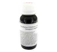 LVS 56S EUCALYPTUS GLOBUL COMP