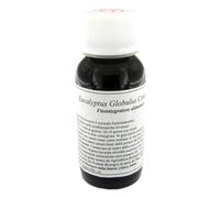 LVS 56S EUCALYPTUS GLOBUL COMP