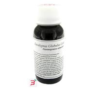 LVS 56S EUCALYPTUS GLOBULUS COMPOSITUM