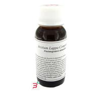 LVS 58S ARCTIUM LAPPA COMPOSITUM