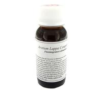 LVS 58S ARCTIUM LAPPA COMPOSITUM