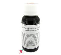 LVS 63S ILEX PARAGUARIENS COMPOSITUM 60 ML