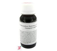 LVS 65S ORTHOSIPHON STAMINEUS COMPOSITUM 60 ML