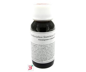 LVS 65S ORTHOSIPHON STAMINEUS COMPOSITUM 60 ML