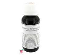 LVS 67S ECHINACEA PURPUREA COMPOSITUM