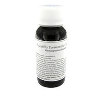 LVS 88C POTENTILLA TORMEN COMP
