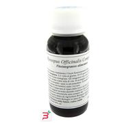 LVS 91C HYSSOPUS OFFICINALIS COMPOSITUM 60 ML