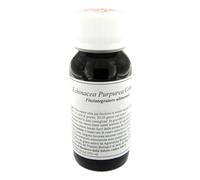 Lvs Echinacea Purpurea Compositum Integratore 60 ml