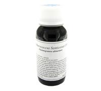 Lvs Eleutherococcus Senticosus Compositum Integratore 60 ml