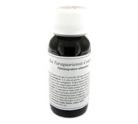 Lvs Ilex Paraguariens Compositum Integratore 60 ml