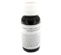 Lvs Veronica Officinalis Compositum Integratore 60 ml