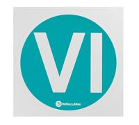 LVTD Contrassegno Adesivo Set 12 Pz - Vi - Euro 6