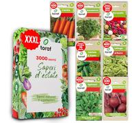 LW TORAF varietà 7 premium di ortaggi, 3000 semi Orto, sementi per orto, piante da giardino, balcone, cucina, carota, prezzemolo, ravanello, spinaci, barbabietola, lattuga, cetriolo e aneto