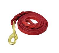 LWBMG Guinzaglio per cani in pelle, 1,2 x 1,2 cm, intrecciato, comodo guinzaglio da addestramento per cani di piccola e media taglia, rosso