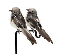 Lwingflyer, uccello artificiale in schiuma, passero ornamentale fai da te per casa, giardino, decorazione per matrimoni, feste, accessori in metallo, 16 cm 2pcs Evelina