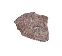 LWQCHW Esemplare di osso di dinosauro, 100 g, frammenti minerali genuini per raccolta, insegnamento ed esposizione di energia (2-3 cm)