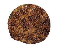 LWQCHW Piatto rotondo fossile di ammonite naturale del Madagascar, decorazione per la casa fossile lucidata, arte di cristallo di ammonite da 30 cm, fossili di storia naturale per la collezione