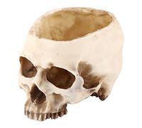 Lwuey Fioriera con Teschio,Contenitore di Fioriera Teschio Umano Teschio Decorativo Fioriere Forma Testa Gotico per la Decorazione della Scrivania di Casa