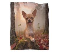 LWXWHR Coperta in Pile Con Chihuahua, Plaid Coperta Per Letto, Divano, Viaggi,con Forest, Morbido E Caldo Idee Regalo Per Adulti/Bambini 40x50inch(100x130cm)