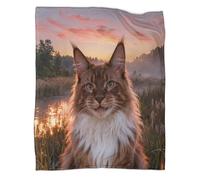 LWXWHR Coperta in Pile Con Maine Coon, Plaid Coperta Per Letto, Divano, Ufficio Con Reed Bed, Super Morbida E Calda Idee Regalo Per Ragazzi E Bambini 60x80inch(150x200cm)
