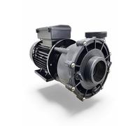 LX LP200 Pompa Whirlpool Spa 1500W Jet Massage 1 Velocità